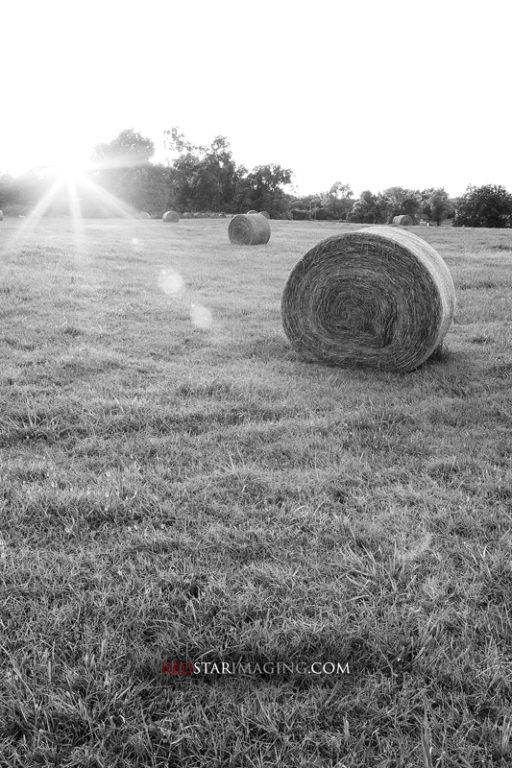 Hay field at sunset