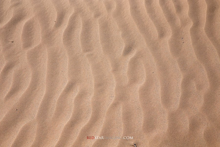 Mojave Desert Sand